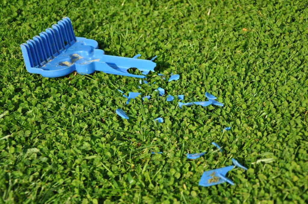 Fehler beim Rasenmähen. 5 Dinge, auf die Sie achten sollten