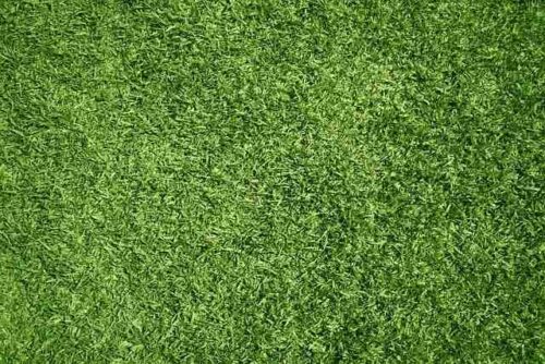 synthetic grass soil artificial grass