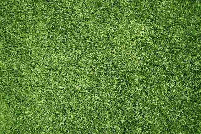 gazon synthetique sol pelouse artificiel